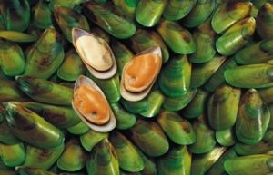 NZ GREENSHELL™ MUSSEL POWDER -NZ